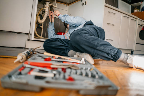 Best Affordable Plumber Near Me  in Lake Dalecarlia, IN