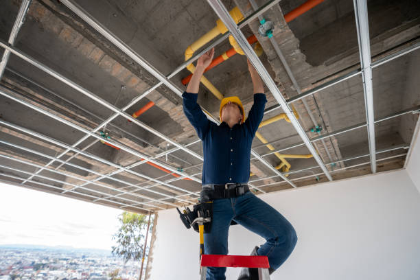 Best Commercial Plumbing Services  in Lake Dalecarlia, IN