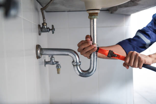 Best Clogged Drain Plumber  in Lake Dalecarlia, IN