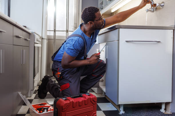 Best Sprinkler Systems  in Lake Dalecarlia, IN