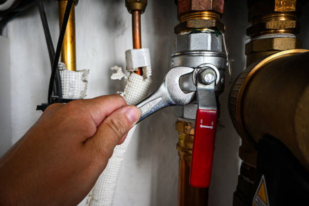 Best Local Plumber Services  in Lake Dalecarlia, IN
